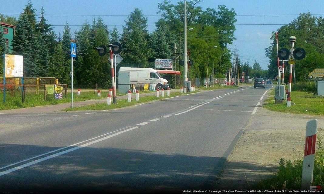 Obchodźmy razem: Światowy Dzień Bez Samochodów w Płońsku